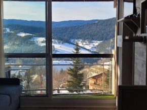 Lumineux studio vue montagne cote 2000